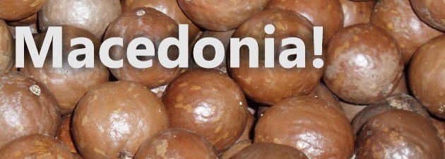 Macedonia and Biometric Passports